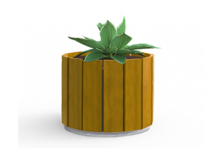 pinus.png